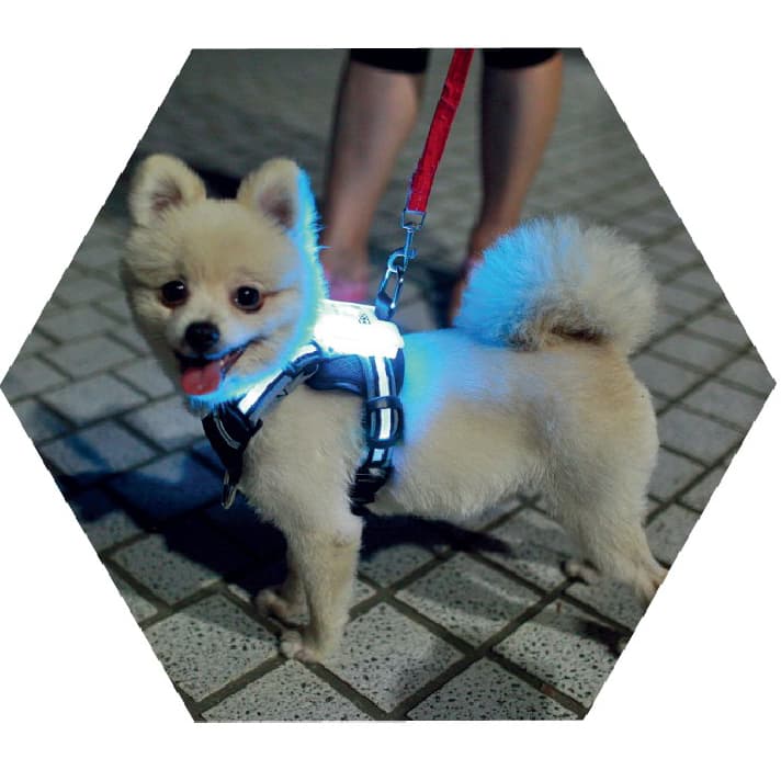 LED Dog Collar with USB Charging - Glowing Silicone Collar for Golden Retriever & Other Breeds