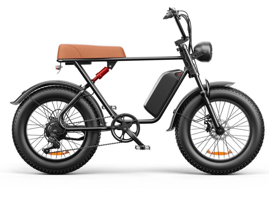 C91 - 20 Zoll 20A & 17.5A E-Bike