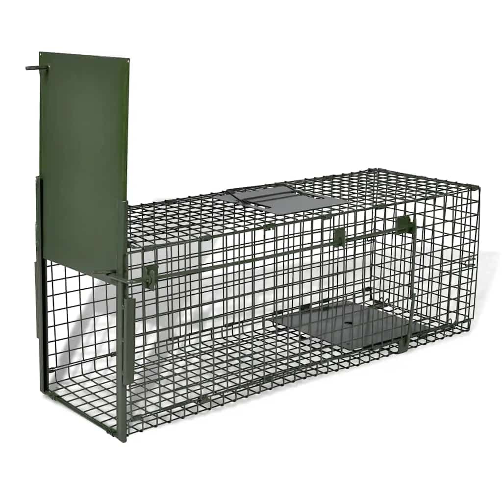 Trampa viva con una puerta
