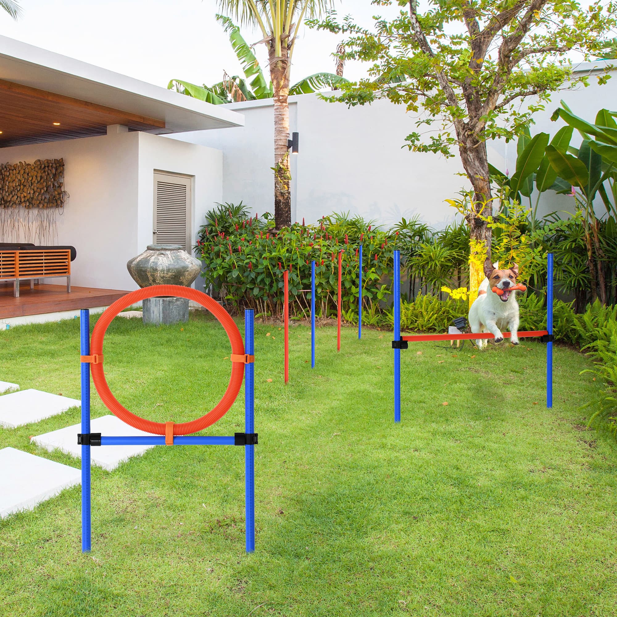 Agility Set für Hunde, 3-teilig mit Hürden, Slalom und Springring
