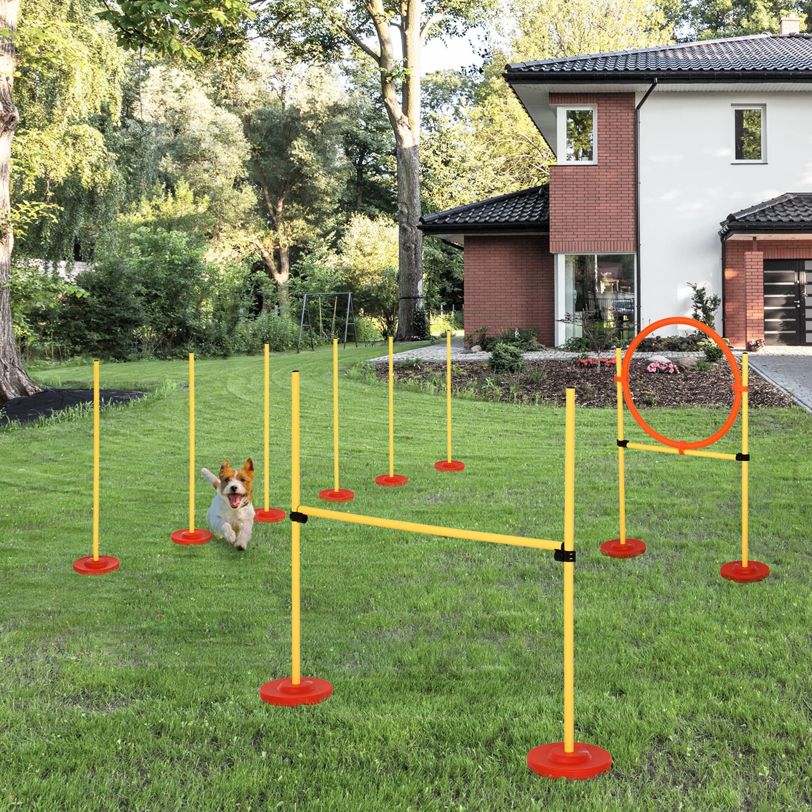 Agility-Set für Hunde, 3-teilig mit 6 Slalomstangen