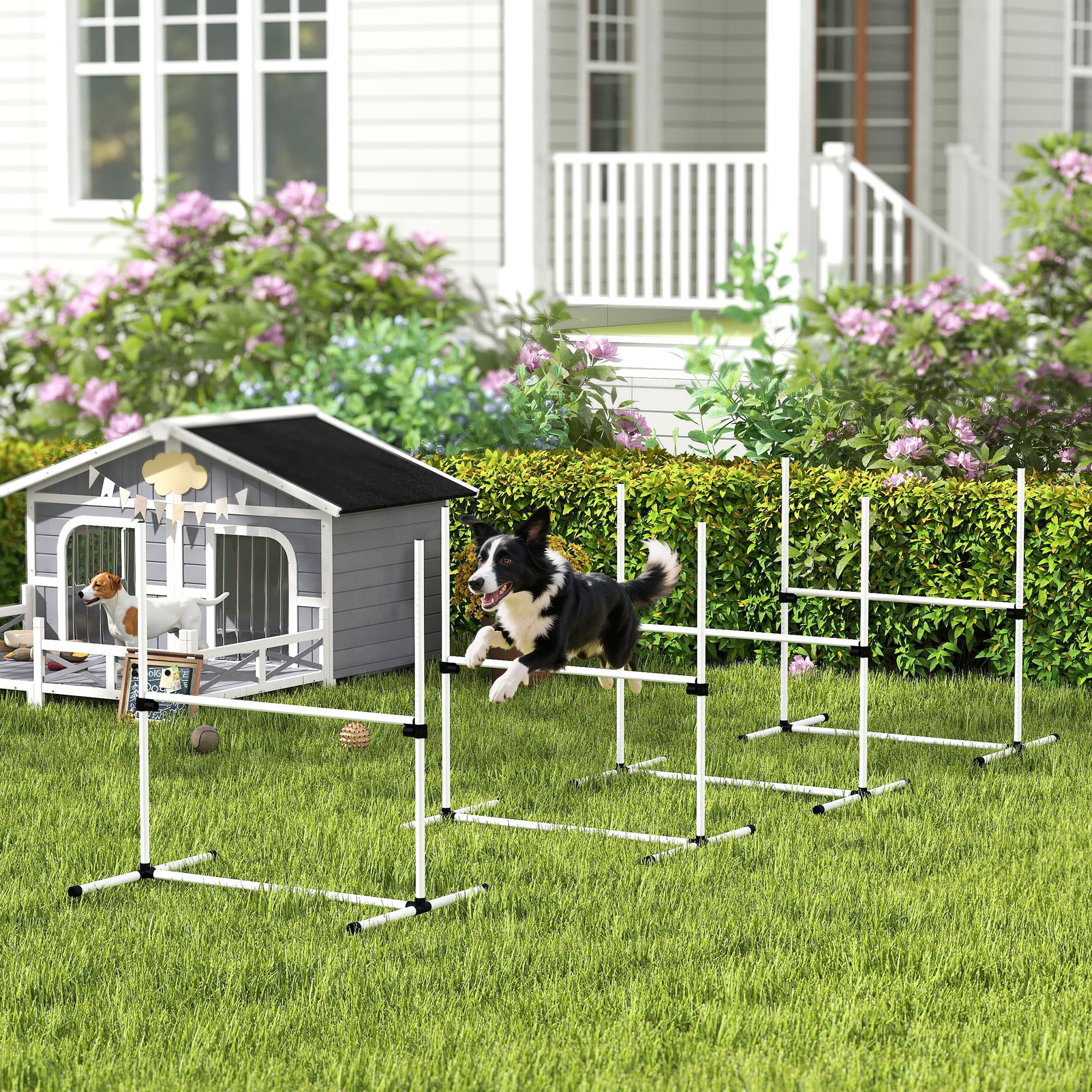 Agility-Set für Hunde mit 4 Hürden