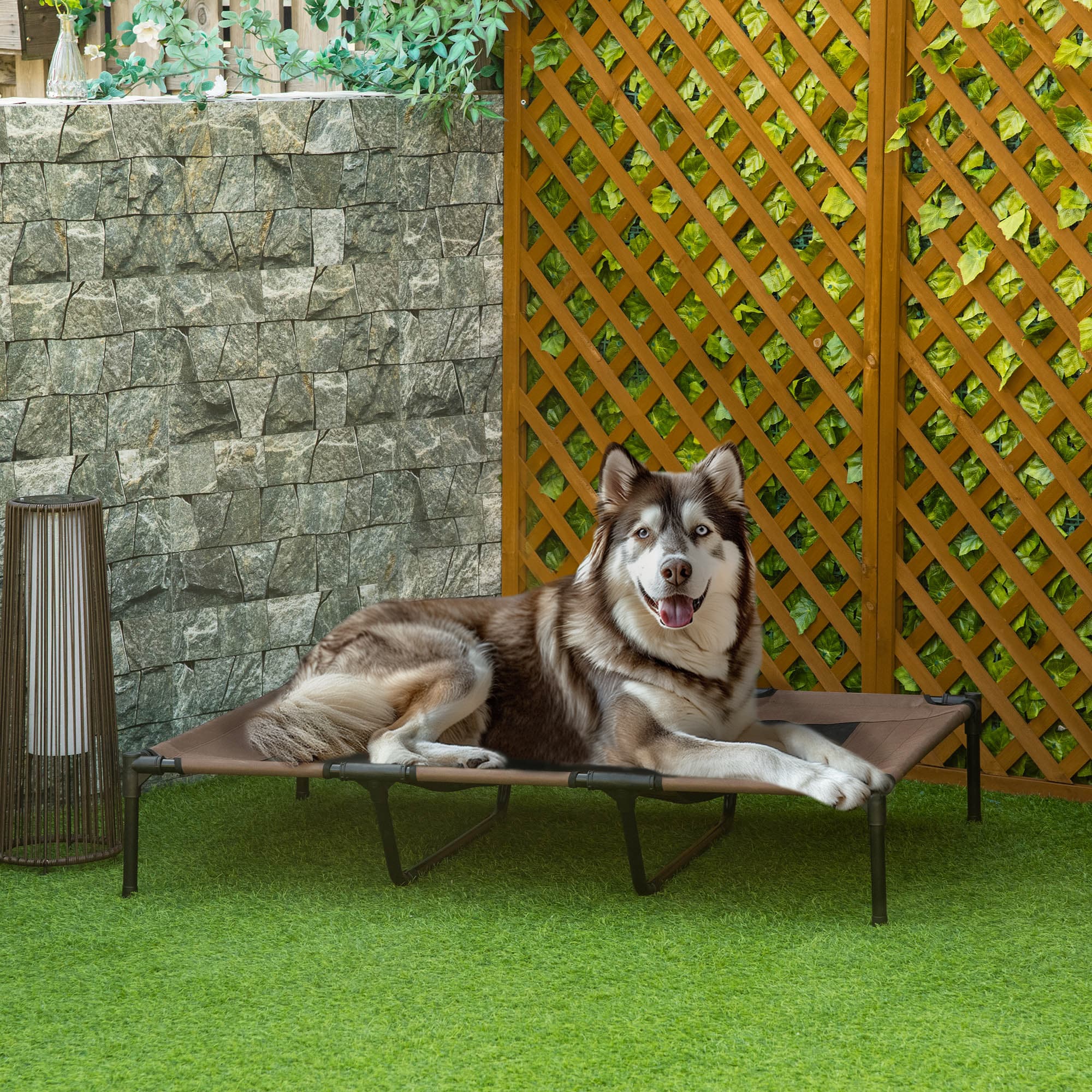 Lit de chien pliable extérieur surélevé 122 x 92 x 23 cm