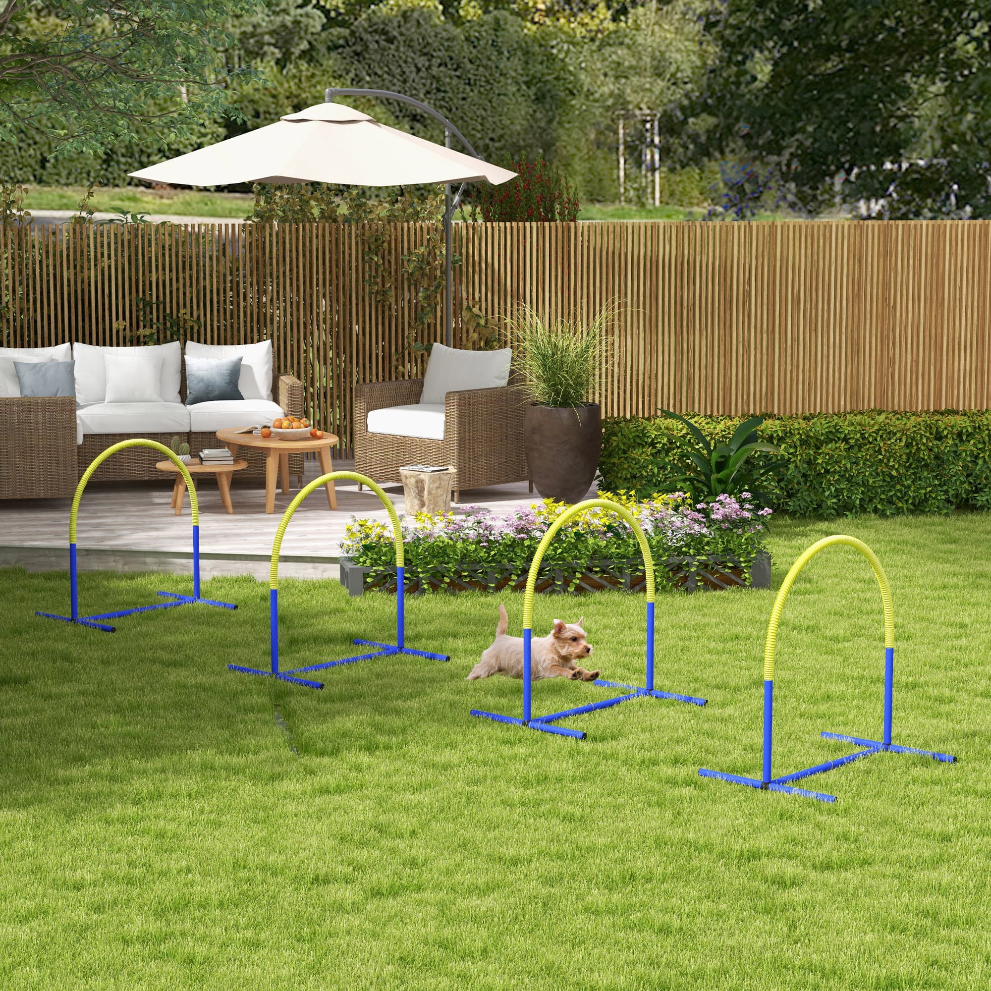 Agility-Set für Hunde mit 4 Bögen
