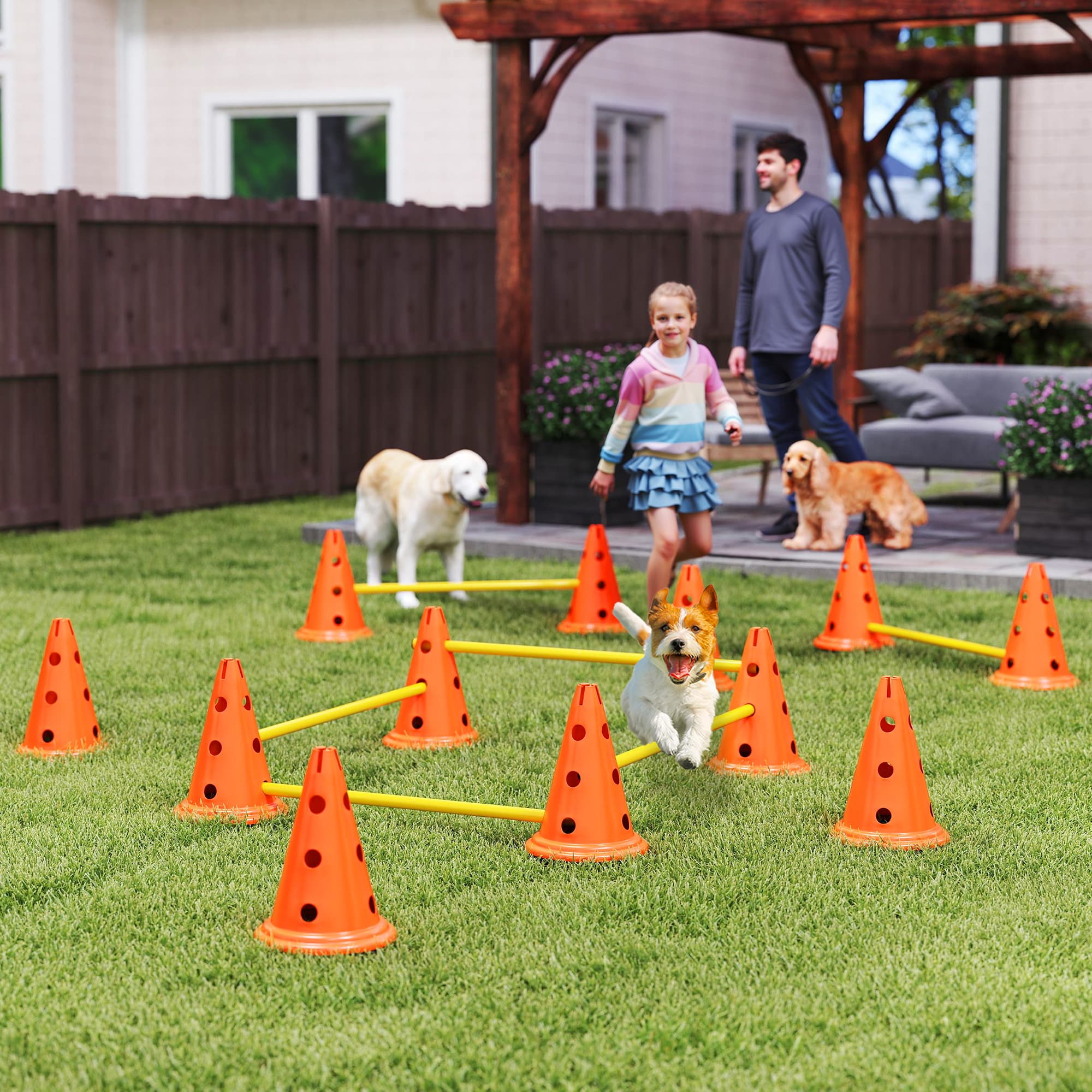 Agility-Set für Hunde mit 6 Teilen