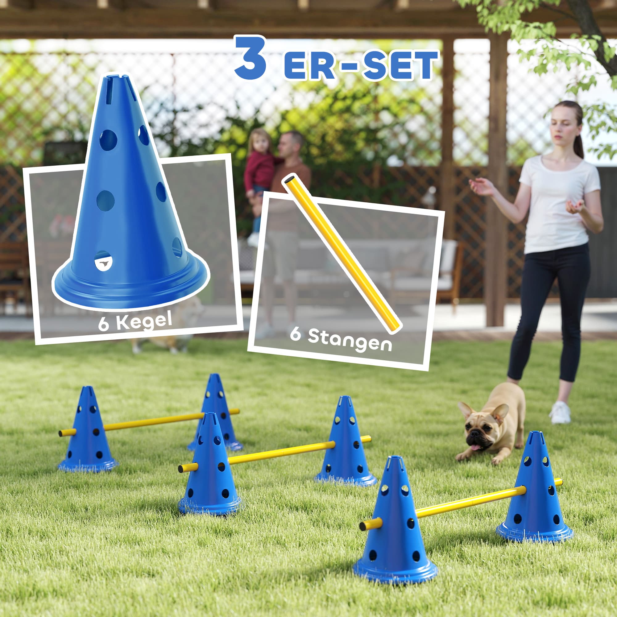 Agility-Set mit Hütchen und Stangen für Hunde und Katzen