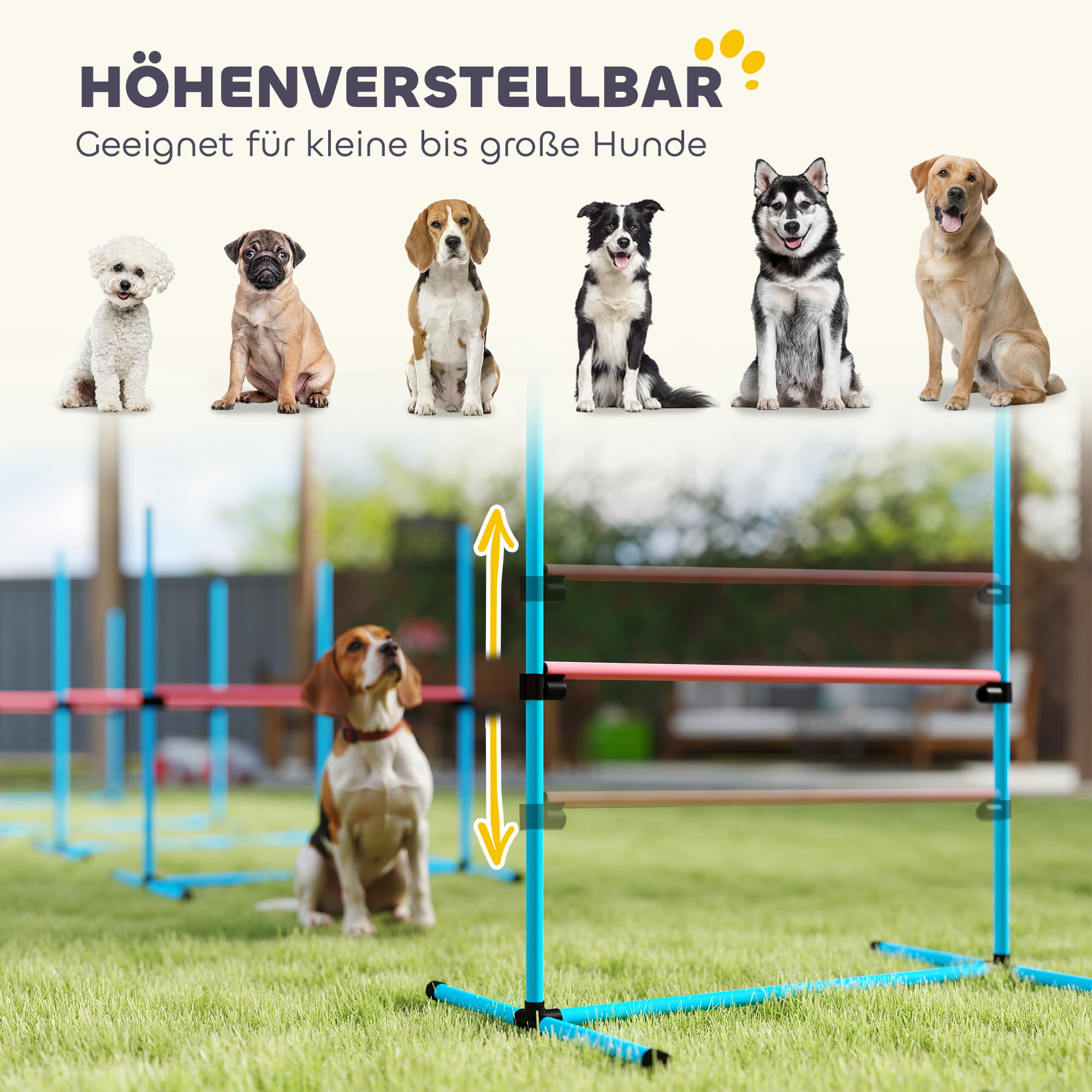 Agility Set für Hunde, 4-teilig, höhenverstellbar, hellblau