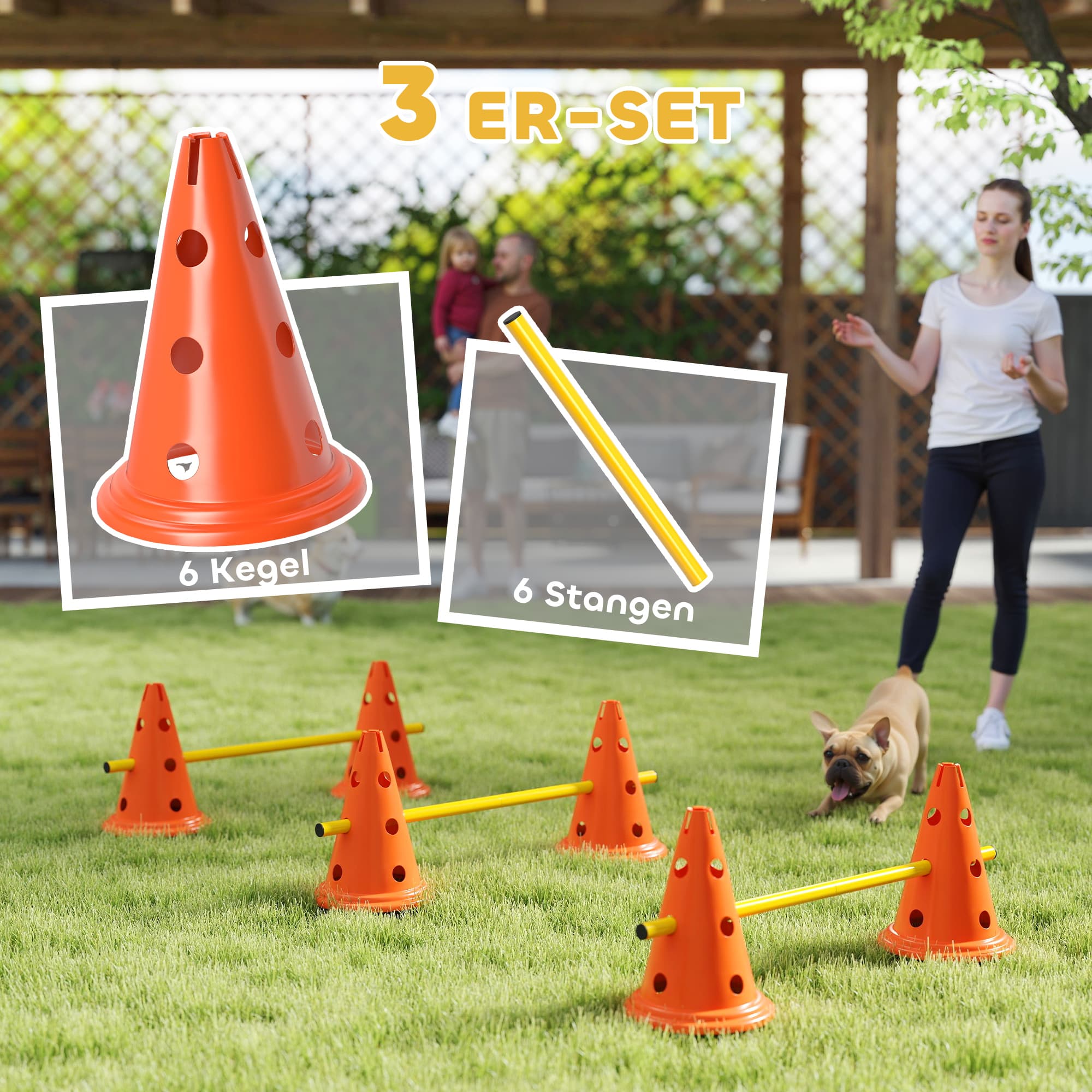 Agility-Set für Hunde, 3-teilig mit 6 Kegeln und 3 Hürden