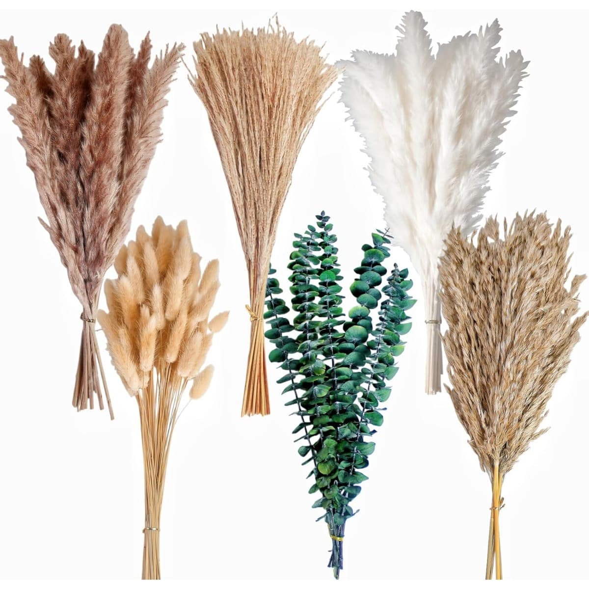 Set mit 110 getrockneten Blumen und Pampasgras