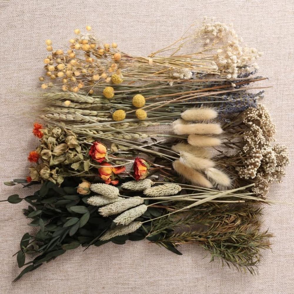 12-teiliges Set getrockneter Naturblumen für Dekoration
