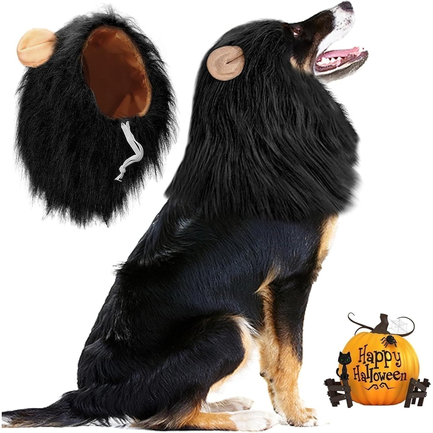 Mehrteiliges Party-Hundekostüm mit Löwenmähne