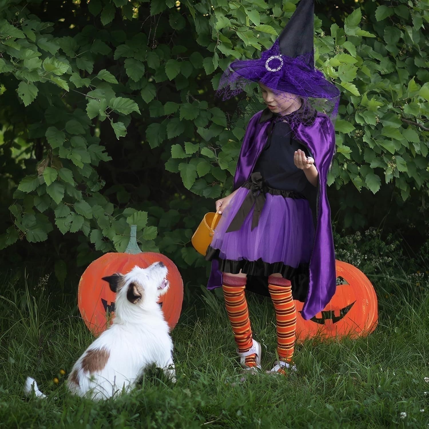 Halloween Hexenkostüm Set mit Flügeln