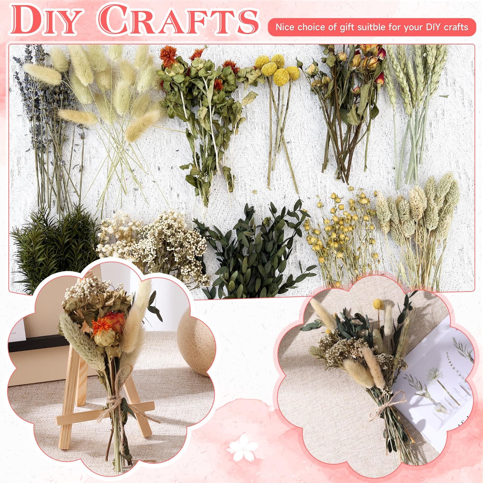 Set of 160 Dried Flowers, 12 Varieties
