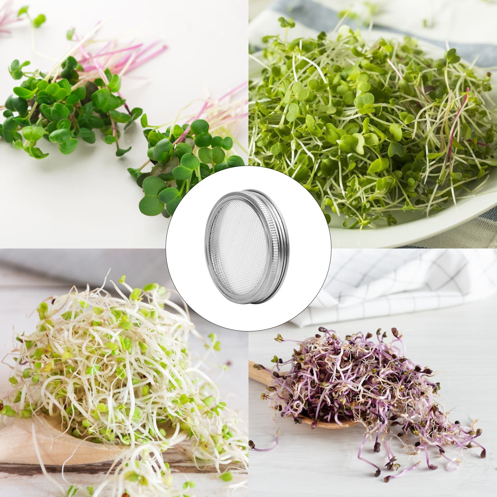 Coperchi di germinazione per colture