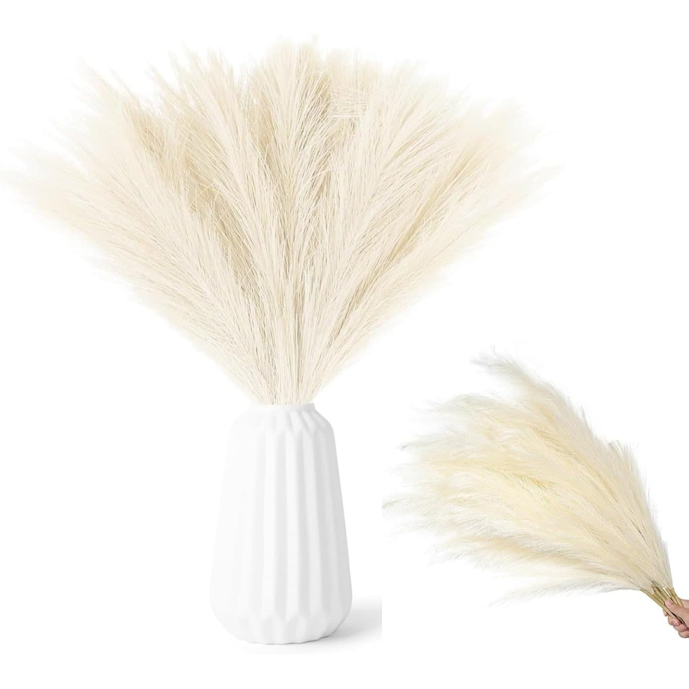 20 getrocknete Pampasgras-Stiele Beige 43 cm
