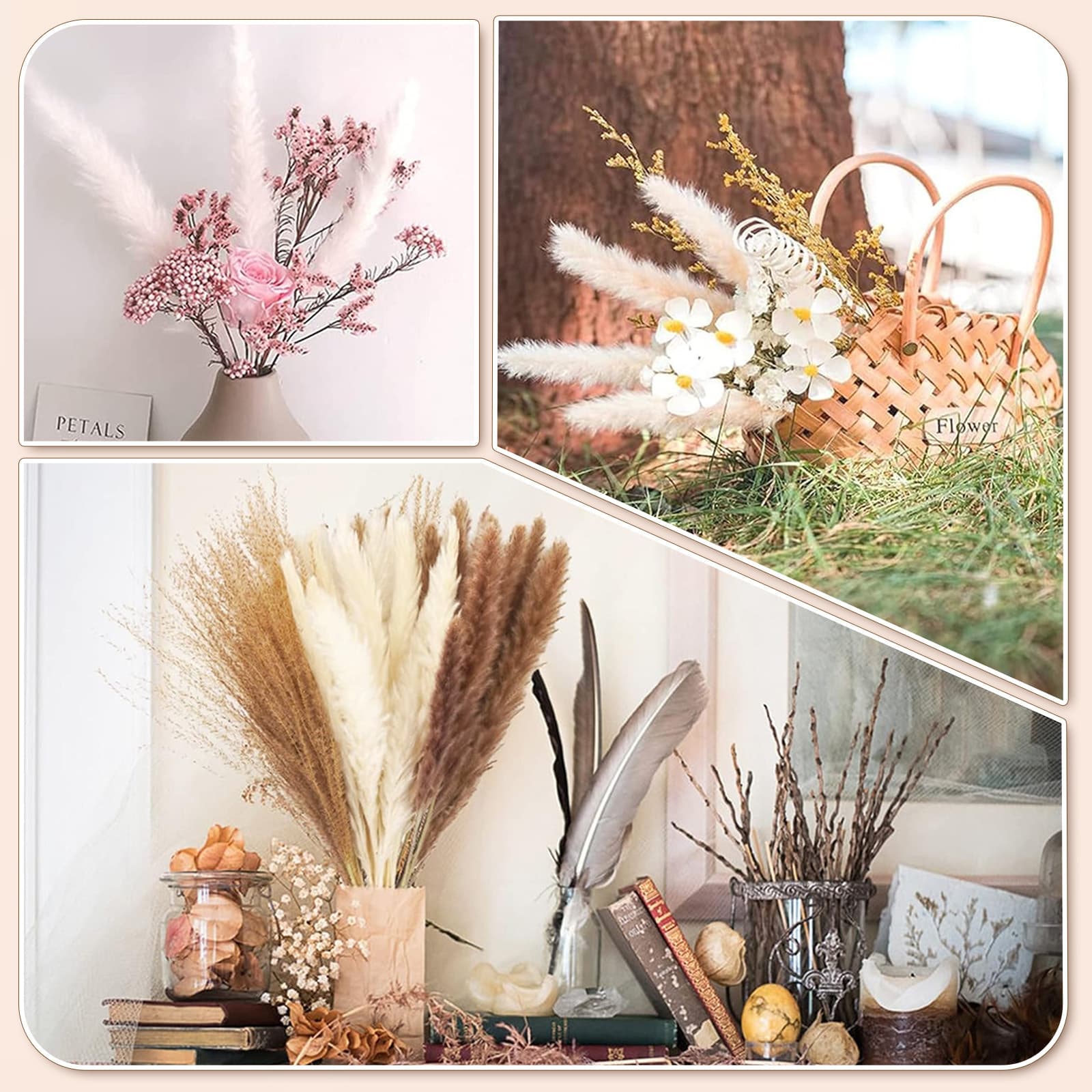 185-teiliges Trockenblumen-Set mit Pampasgras