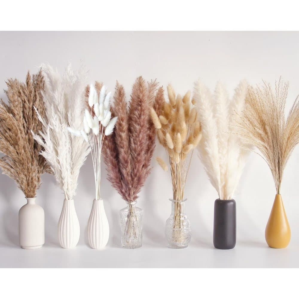 Getrocknetes Pampasgras und Blumen-Set 125 Teile