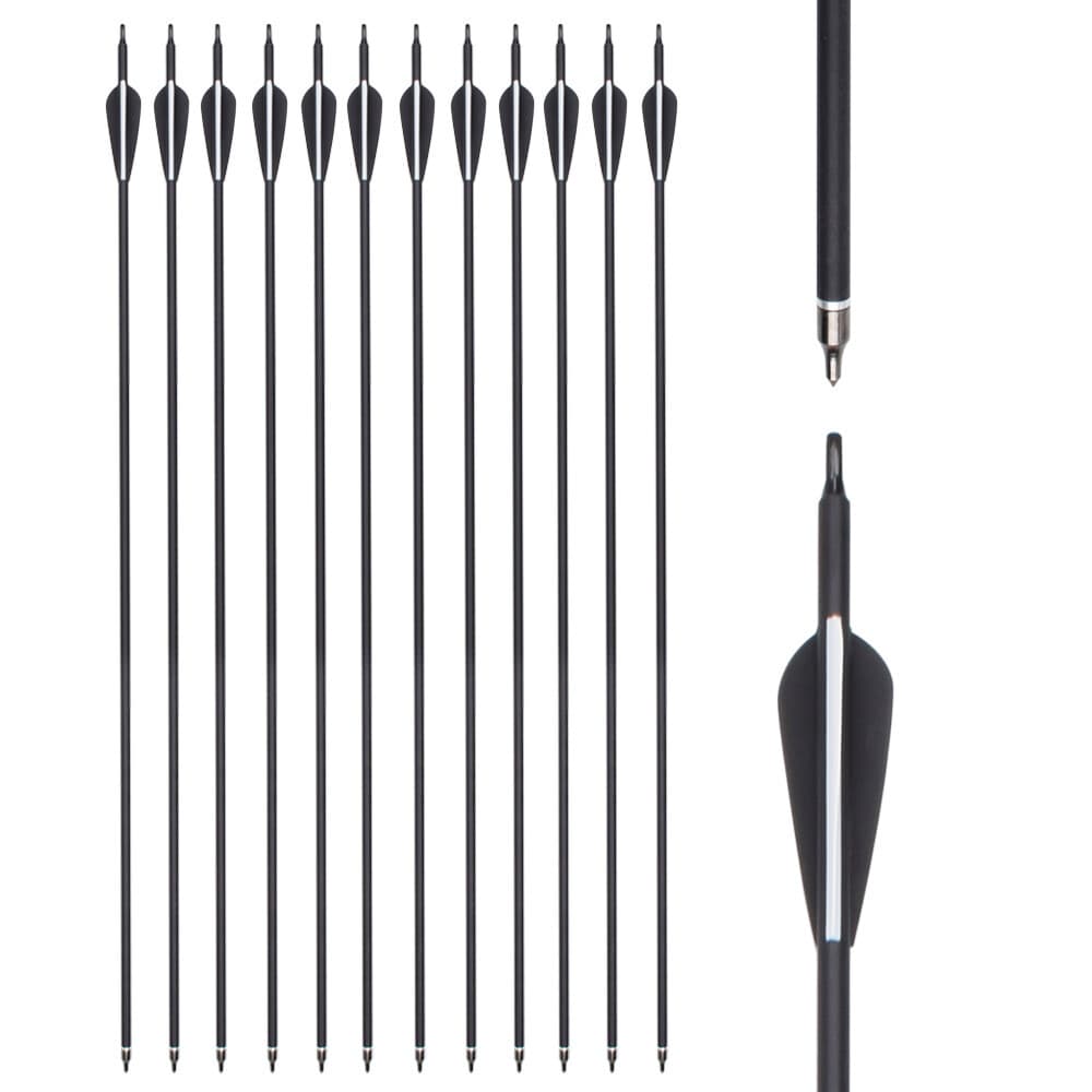 Pack de 12 Flèches Carbone 30" Pointes de Chasse SP500 pour Arc à Poulies & Arc Classique - Noir