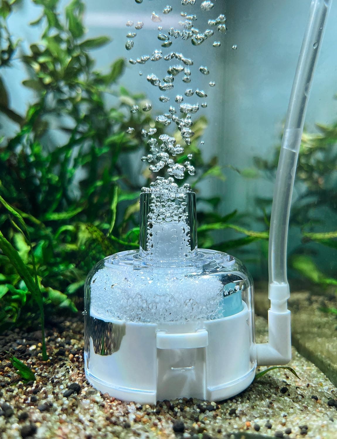 Mini Schwammfilter für Aquarium, geeignet für bis zu 5 Gallonen