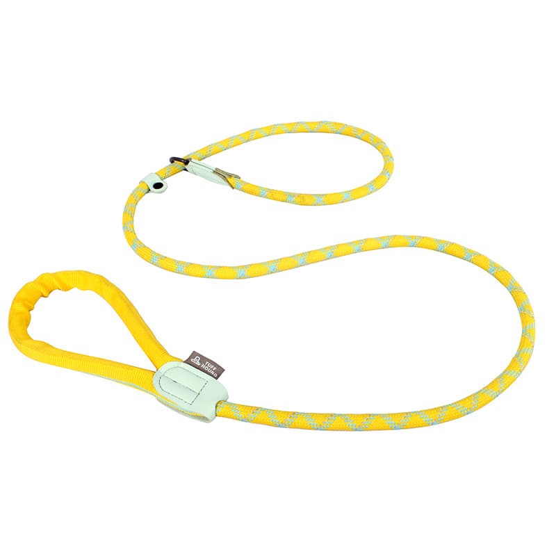 Neue Stil-Hundeleine mit integriertem Halsband