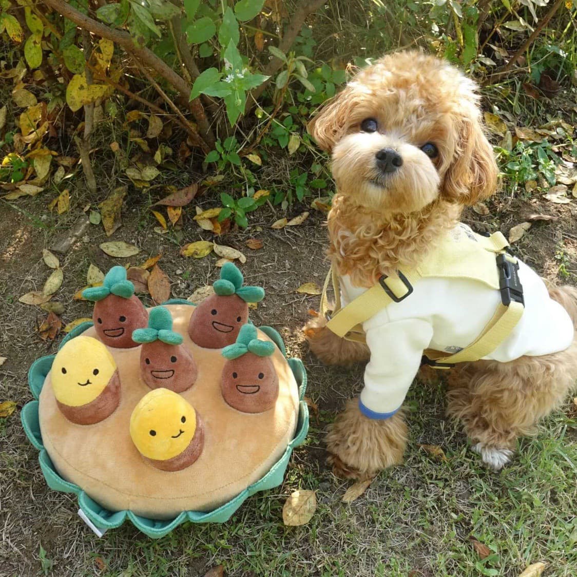 Sweet potato plush dog with sound