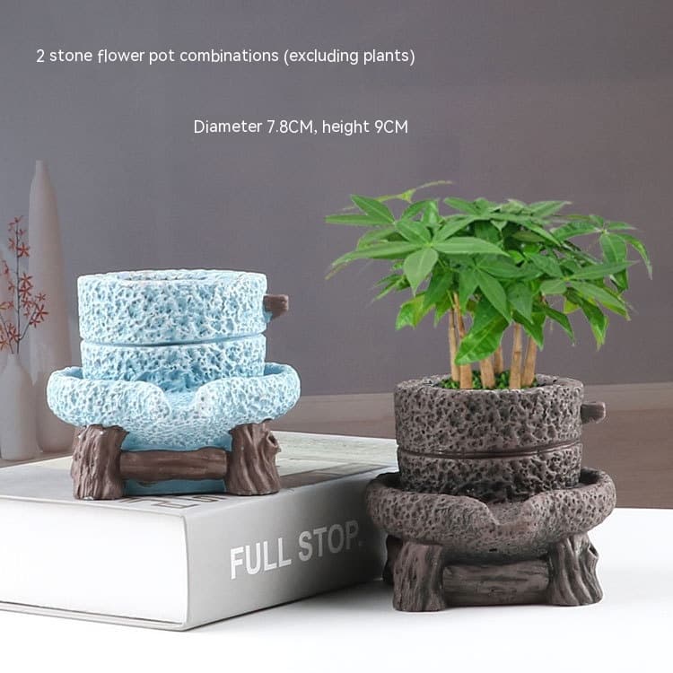 Purpurfarbener Bonsai Sukkulenten Topf - Klein
