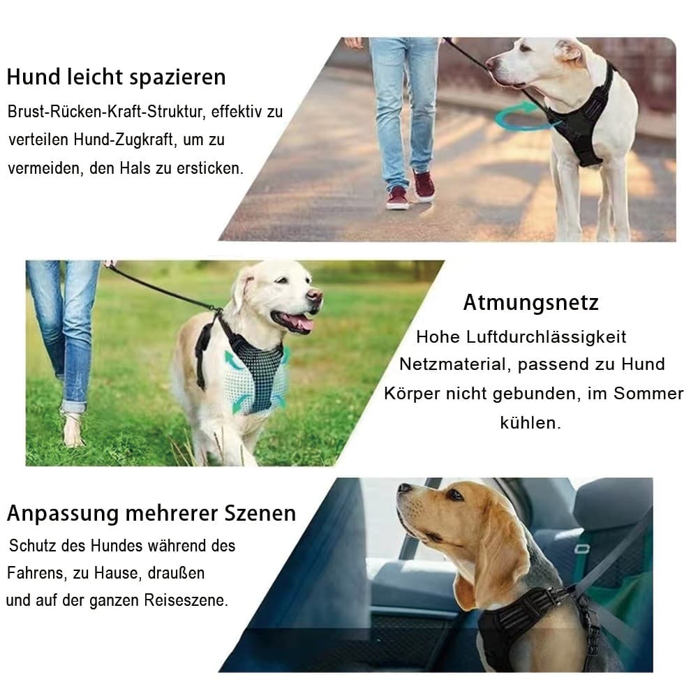 Harnais chien réglable avec distributeur de sacs