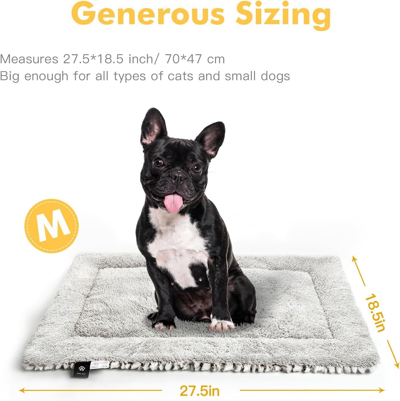 "2-Sided Pet Blanket"