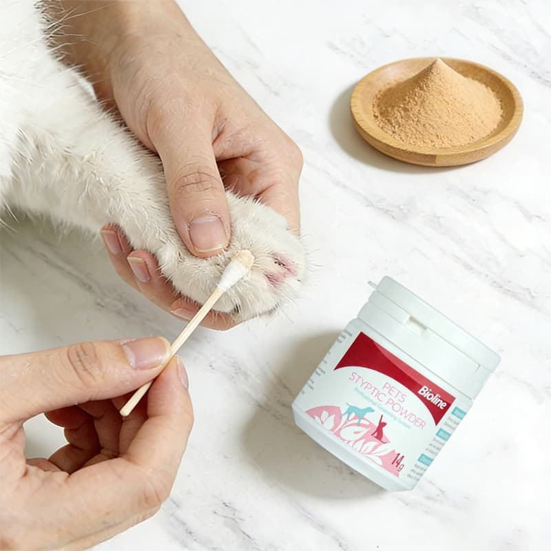 Hämostatisches Pulver zum Trimmen von Katzen- und Hundenasen