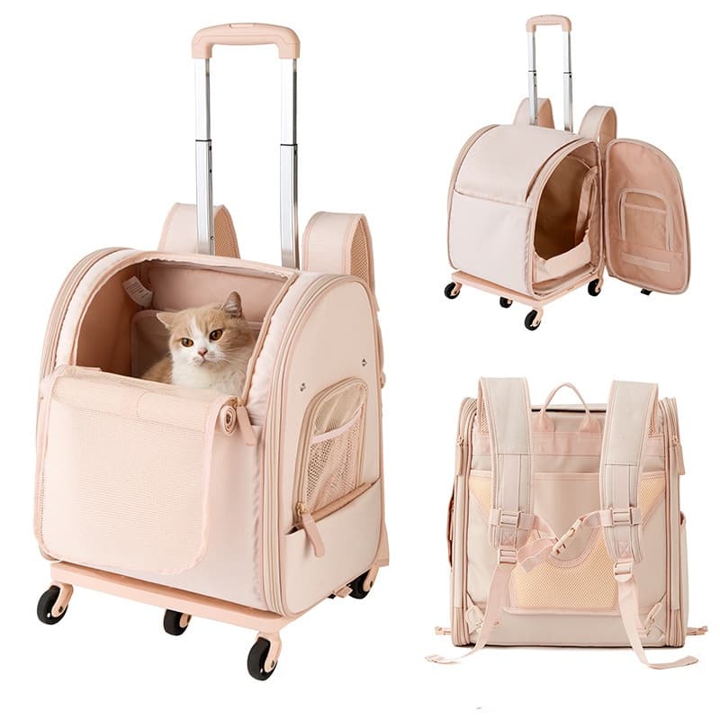 Reisekatze Japan-Korea mit Rädern: Portable & Großer Raum