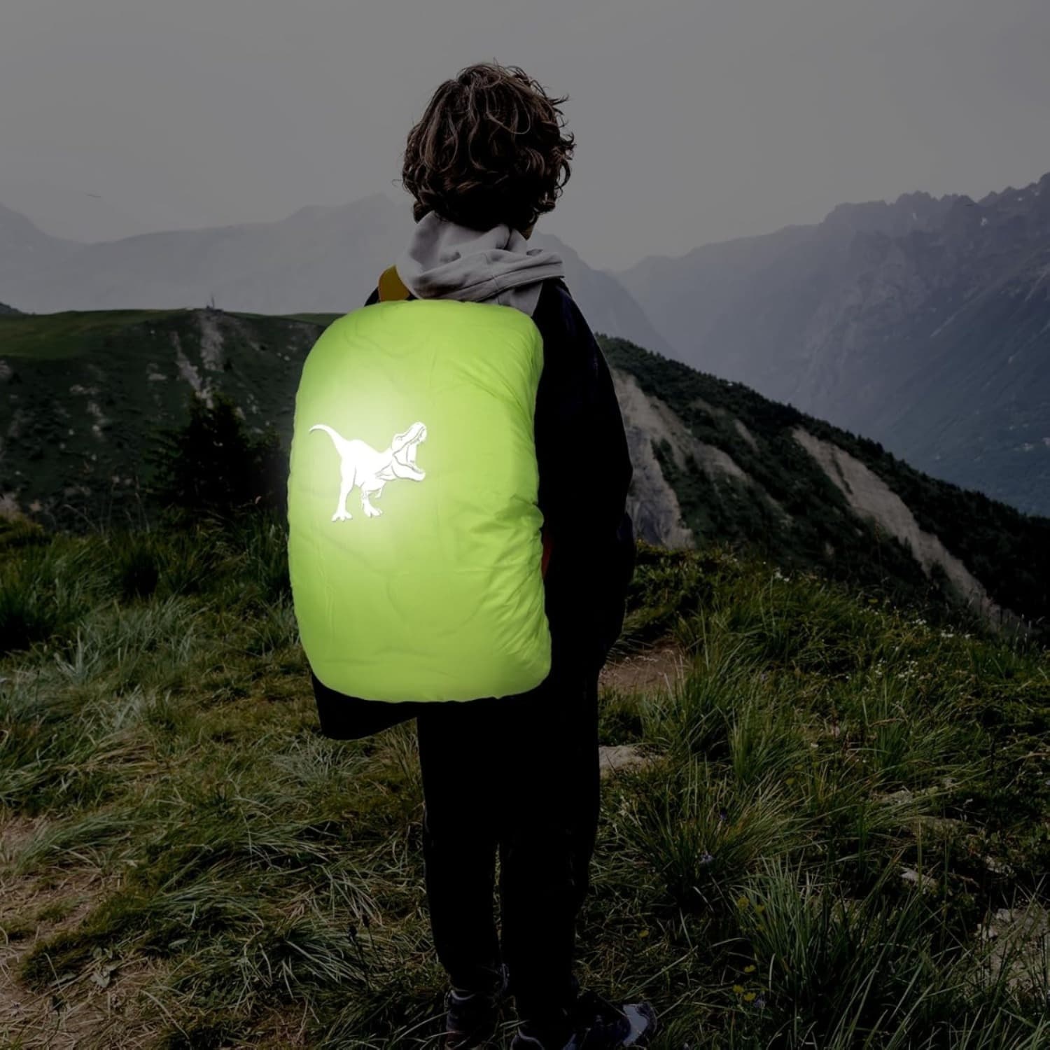 Rucksacküberzug mit Dinosaurier-Motiv