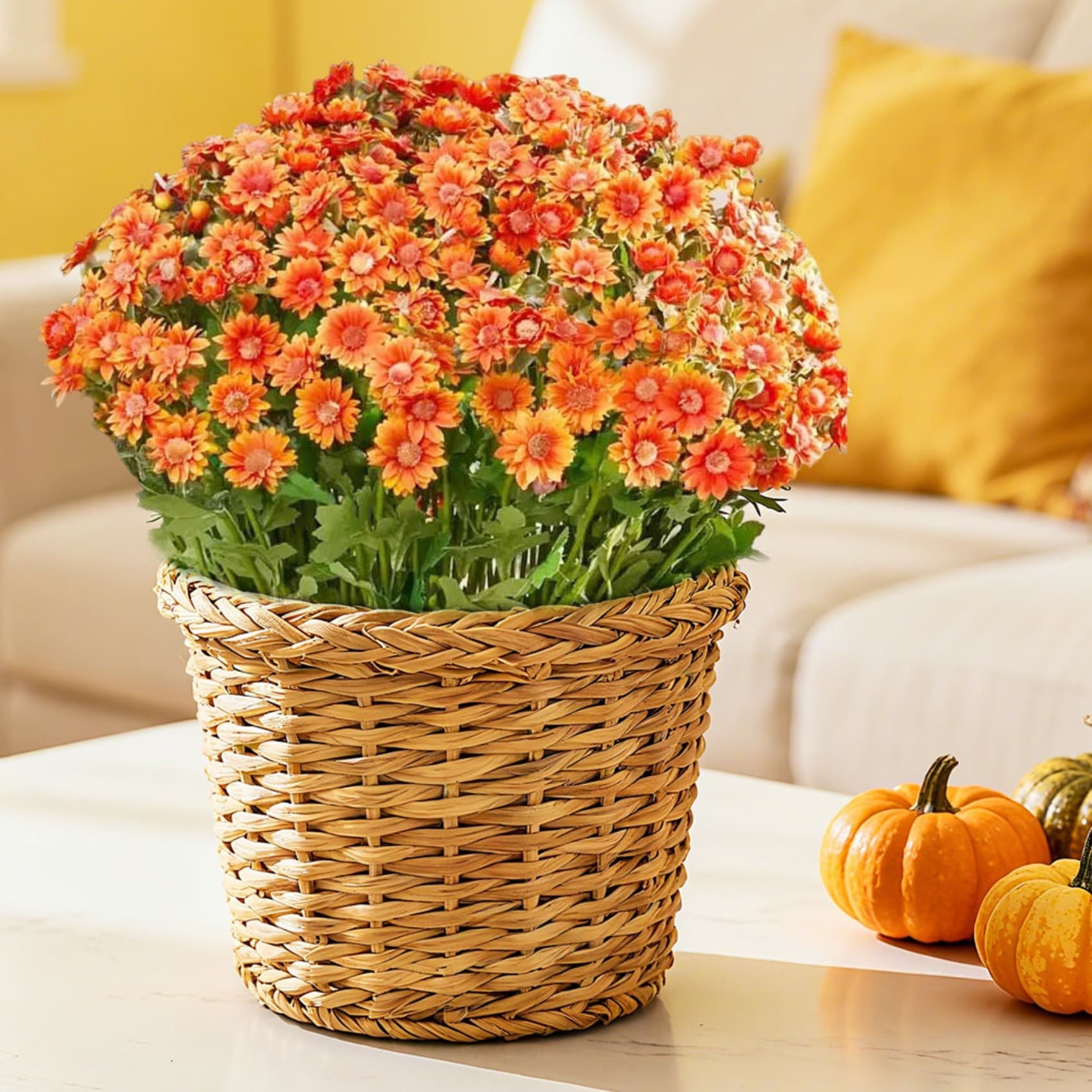 10 künstliche Balkonpflanzen weiße Chrysanthemen