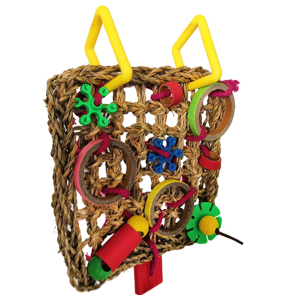 Gioco da costruzione a blocchi di colore di morsicatura di pappagallo