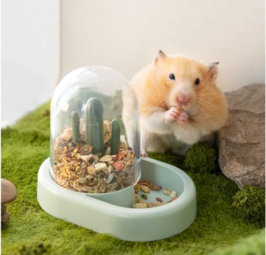 "Automatischer Hamster-Cactus-Futterspender"