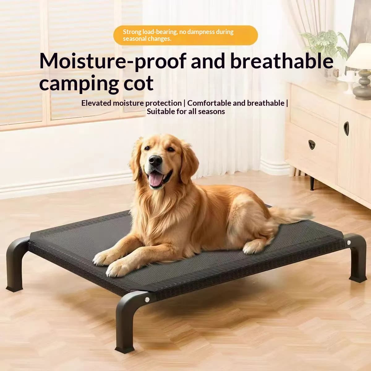 Cama de camping transpirable para perros