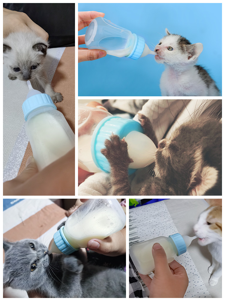 Saugflasche für Katzen & Hunde - Klein