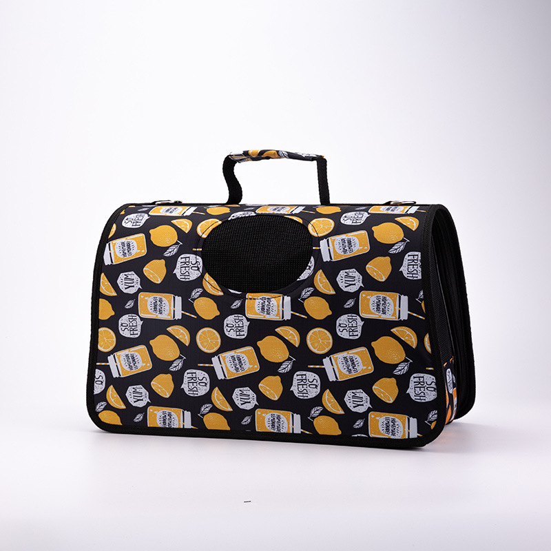 Borsa multifunzione per cani portatile per l'estate