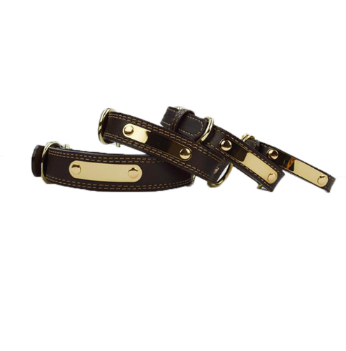 Medium & Large Dog Collar - Pet Lettering