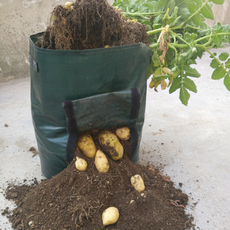 Sac en toile PE pour plantation de jardin