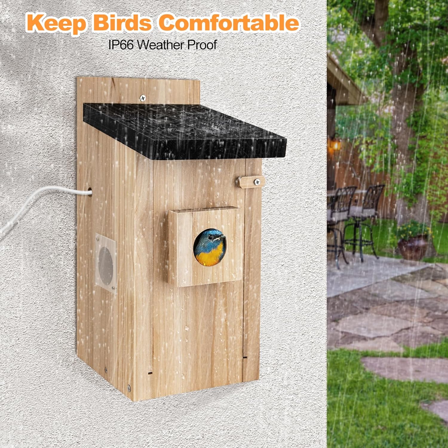 Casa para pájaros inteligente con cámara, Cámara para casa de pájaros de 3MP para exterior, Captura automática de videos de pájaros y detección de movimiento, Ver anidamiento y eclosión de huevos en tiempo real