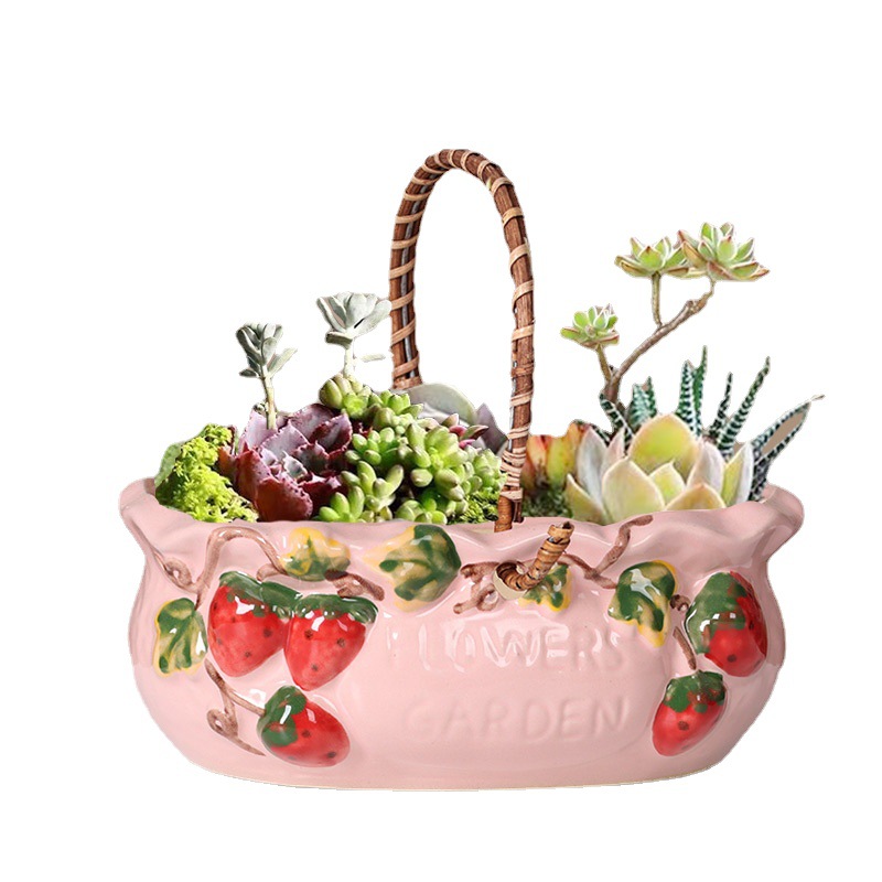 Peinture créative de fraise en pot de succulente de diamètre grand et petit