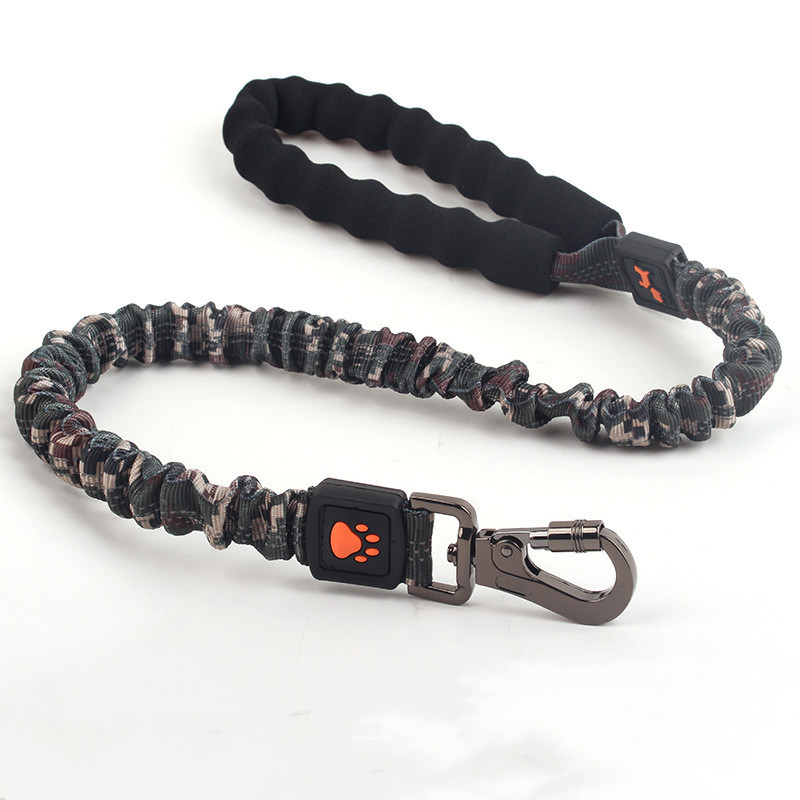 Laisse élastique pour grands chiens (50-300 cm)