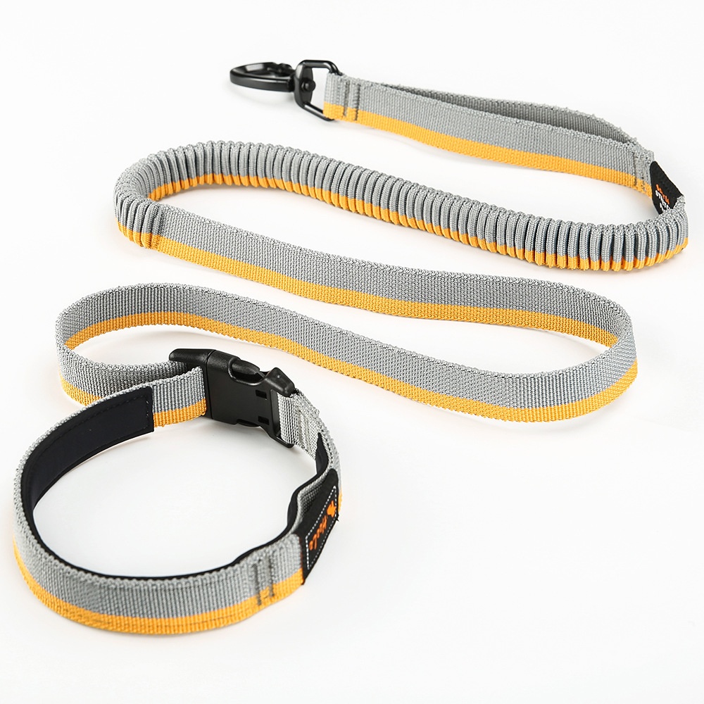 Explosionsfester Hundeleine - 50-80 cm, für Joggen & Spaziergänge