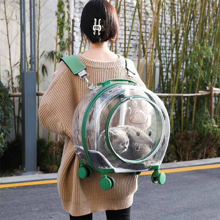 Borsa trasparente portatile per animali domestici