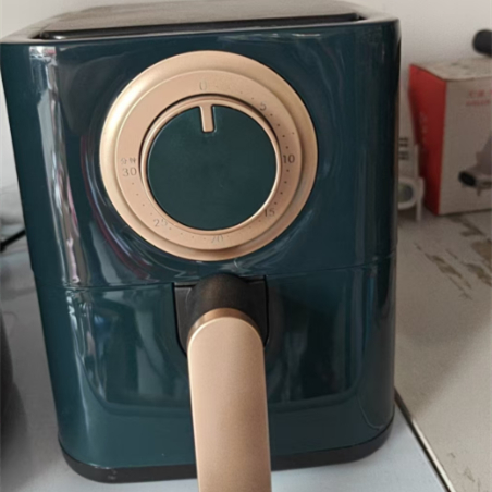 Airfryer - Gesundes Kochen ohne Fett