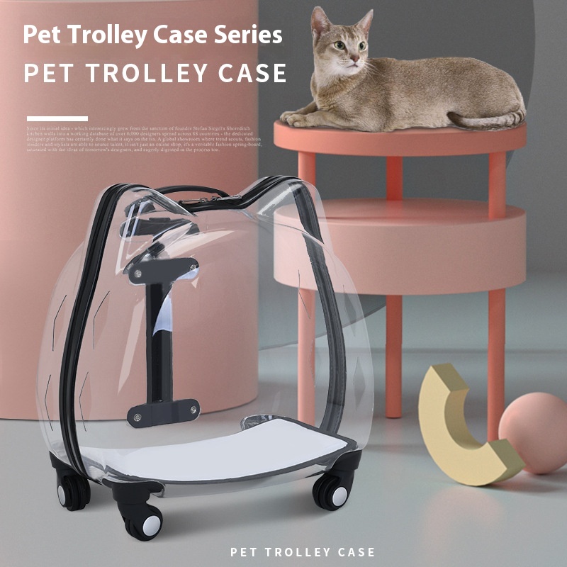 Transparenter Katzen-Trolley mit Bubble-Box